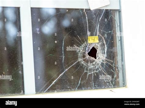 Murdaugh: Images of Moselle property, bullet holes。